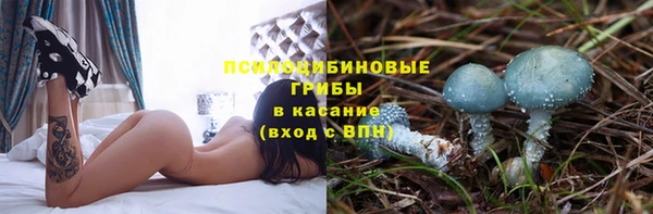 ГАЛЛЮЦИНОГЕННЫЕ ГРИБЫ Белоозёрский