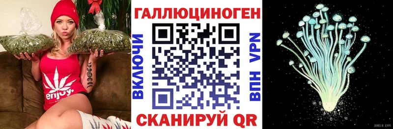Галлюциногенные грибы Magic Shrooms  MEGA tor  Боготол 